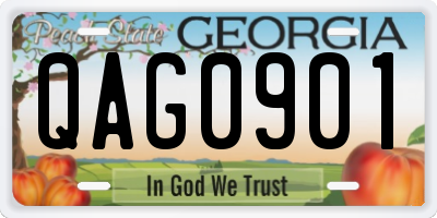 GA license plate QAG0901