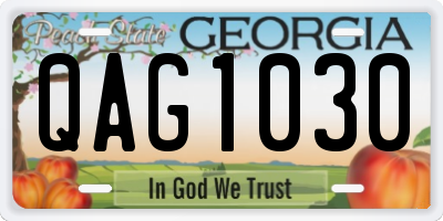 GA license plate QAG1030
