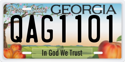 GA license plate QAG1101