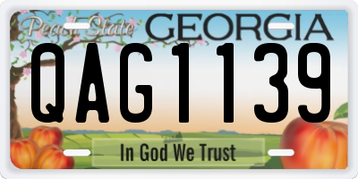 GA license plate QAG1139