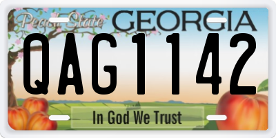 GA license plate QAG1142