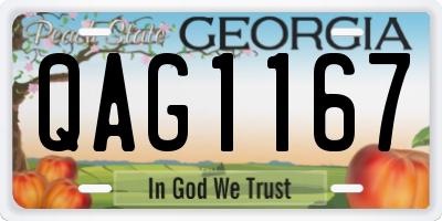 GA license plate QAG1167