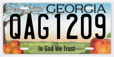 GA license plate QAG1209