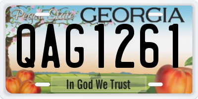 GA license plate QAG1261