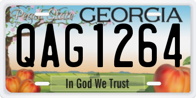 GA license plate QAG1264