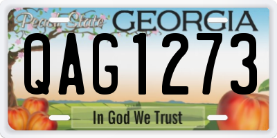 GA license plate QAG1273