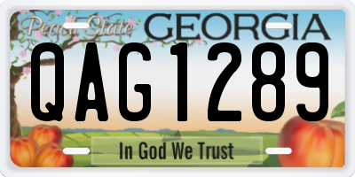 GA license plate QAG1289