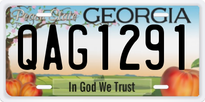 GA license plate QAG1291