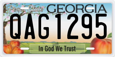 GA license plate QAG1295