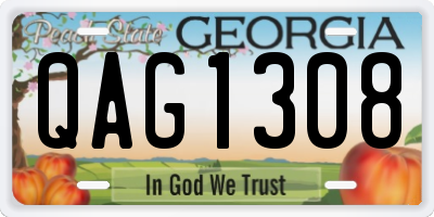 GA license plate QAG1308