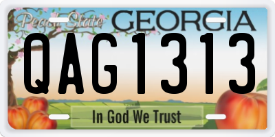 GA license plate QAG1313