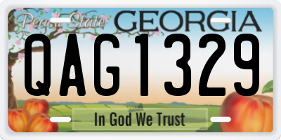 GA license plate QAG1329