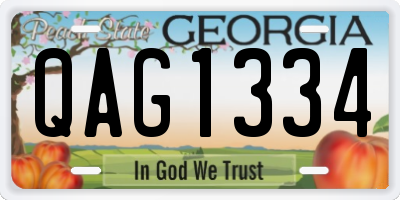 GA license plate QAG1334