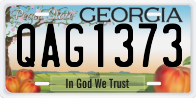 GA license plate QAG1373