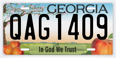 GA license plate QAG1409