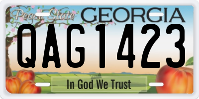 GA license plate QAG1423