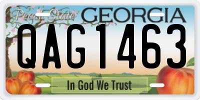 GA license plate QAG1463