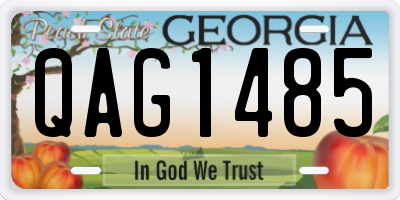 GA license plate QAG1485