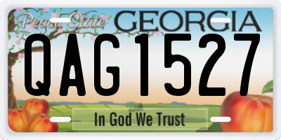 GA license plate QAG1527