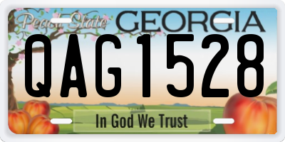GA license plate QAG1528