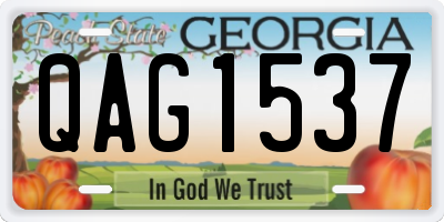 GA license plate QAG1537