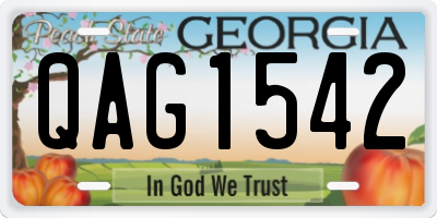 GA license plate QAG1542