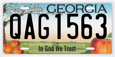 GA license plate QAG1563