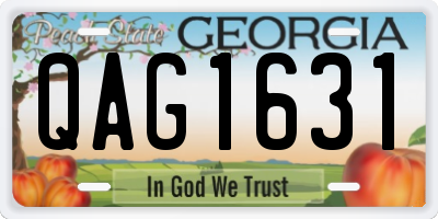 GA license plate QAG1631