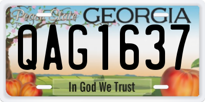 GA license plate QAG1637