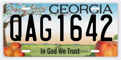GA license plate QAG1642