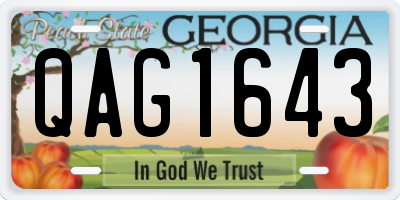 GA license plate QAG1643