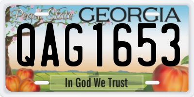 GA license plate QAG1653