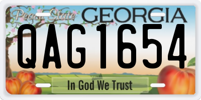 GA license plate QAG1654