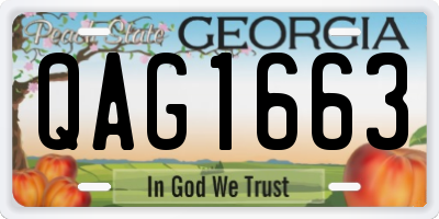 GA license plate QAG1663