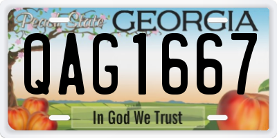 GA license plate QAG1667
