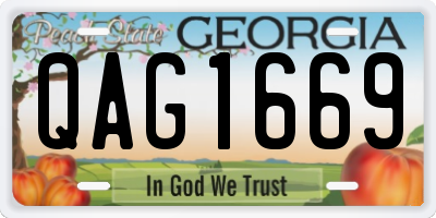 GA license plate QAG1669