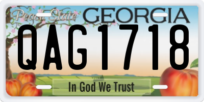 GA license plate QAG1718