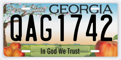GA license plate QAG1742