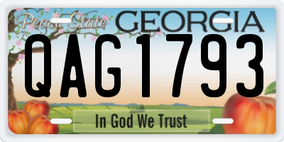 GA license plate QAG1793