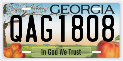 GA license plate QAG1808