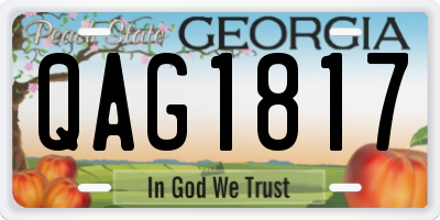 GA license plate QAG1817