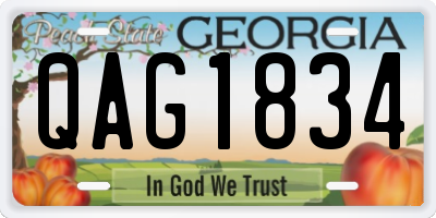GA license plate QAG1834