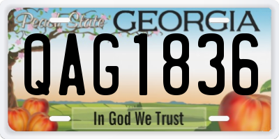 GA license plate QAG1836