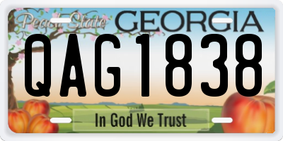 GA license plate QAG1838