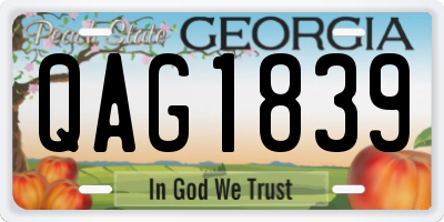 GA license plate QAG1839