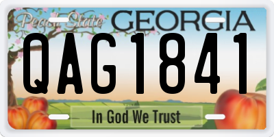 GA license plate QAG1841