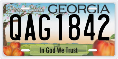 GA license plate QAG1842