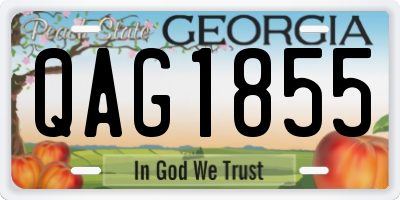GA license plate QAG1855