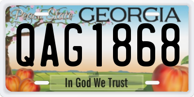 GA license plate QAG1868