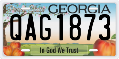 GA license plate QAG1873